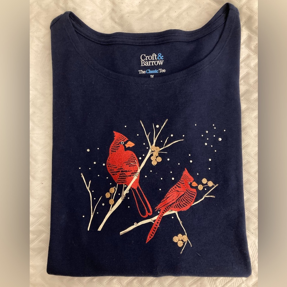 NWT Croft & Barrow Classic Crewneck Long-sleeve Tee - 1X